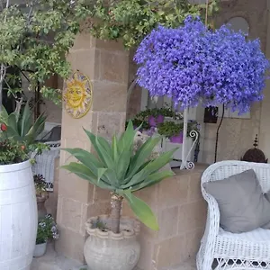 A Lumia , Noto Italia